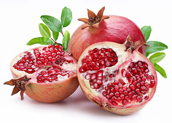 Punica granatum