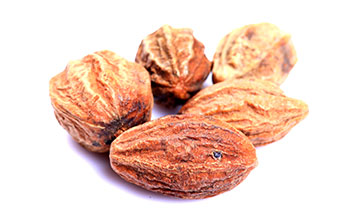 Terminalia chebula